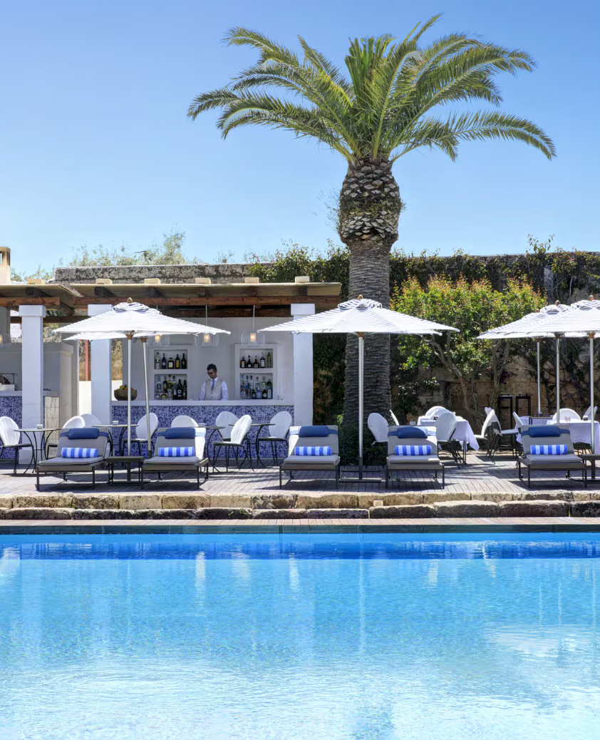 A clear blue swimming pool with a resort bar and lounge chairs in the background, all under a bright sunny sky with a tall palm tree.